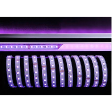 Лента светодиодная Deko-Light 5050-60-24V-RGB+6200K-5m-silicon 840241