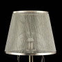 Настольная лампа декоративная Simone FR2020-TL-01-BZ
